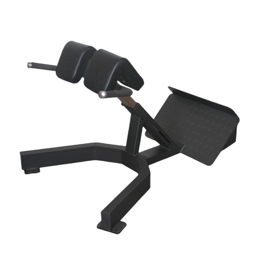 Home Gym Leg Extension Machine - Panca Romana per Estensioni Schiena a