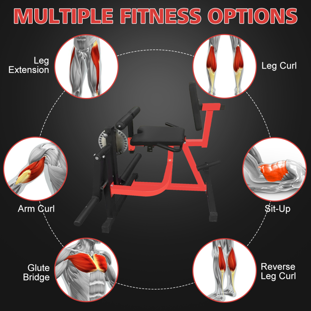 Macchina Regolabile per Estens - Home Gym Leg Extension Machine recensione e prezzo