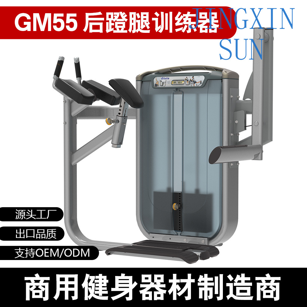 Macchina Commerciale per Allen - Home Gym Leg Extension Machine recensione e prezzo