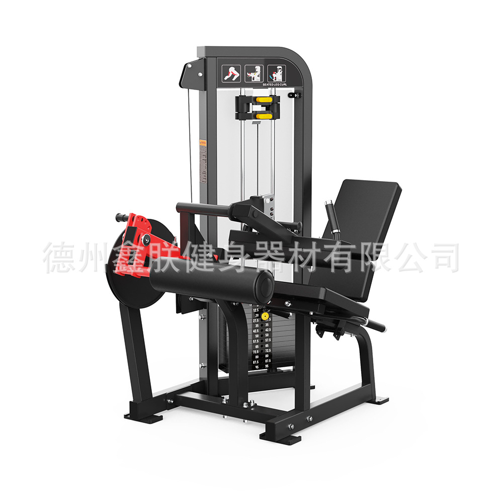 Set di Attrezzature per Palest - Home Gym Leg Extension Machine recensione e prezzo