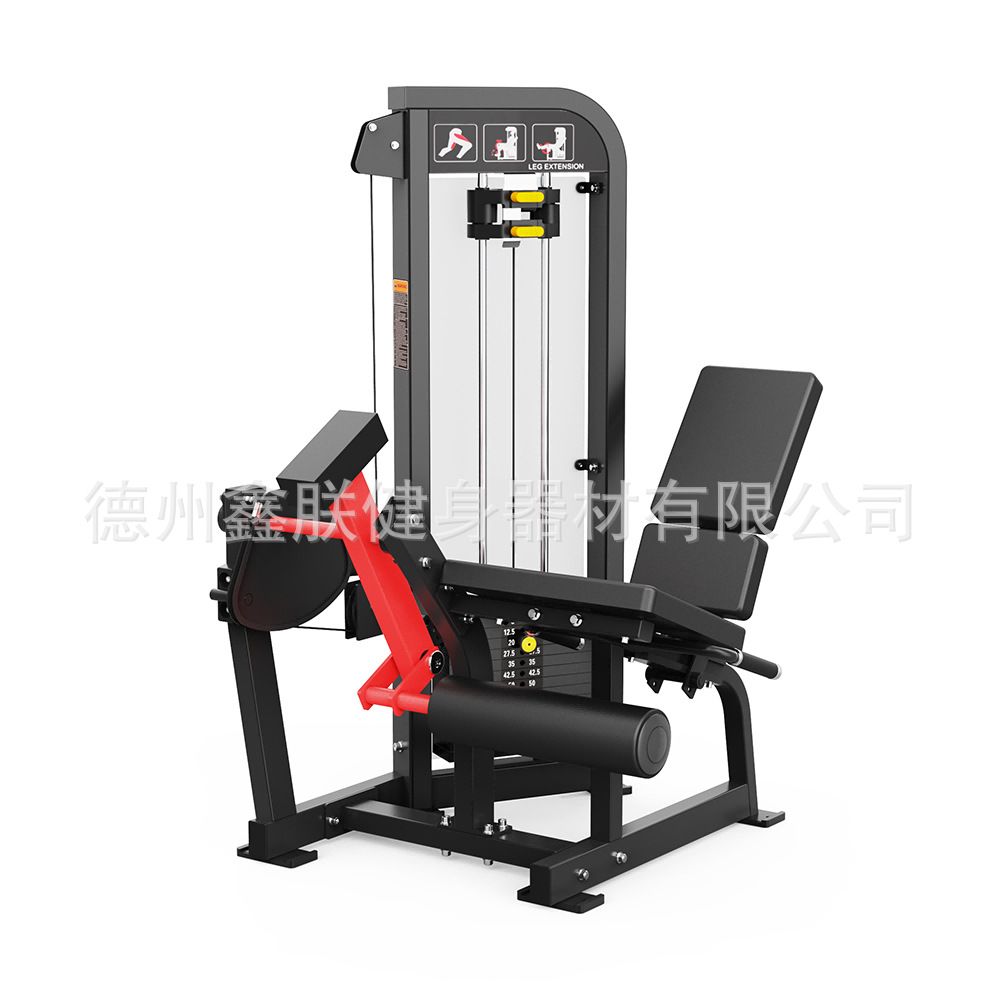 Set di Attrezzature per Palest - Home Gym Leg Extension Machine recensione e prezzo