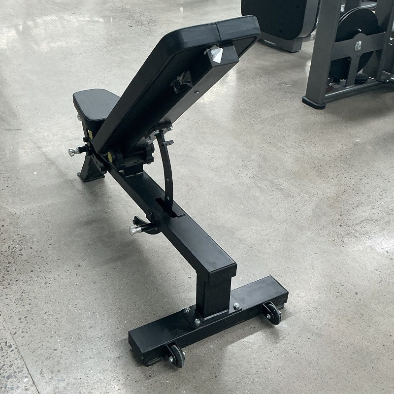 Panca per Manubri Regolabile p - Home Gym Dumbbells recensione e prezzo